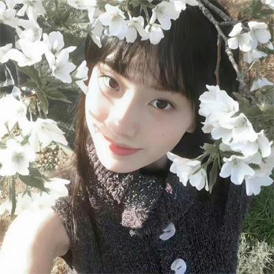 黑月光法则